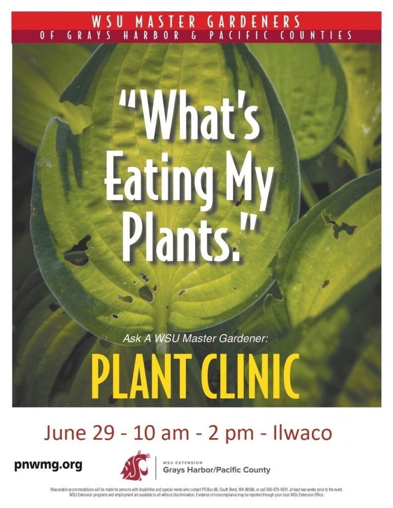 Plant Clinic - Columbia Heritage Park, Ilwaco, 6/29/2024 - 10am-2pm