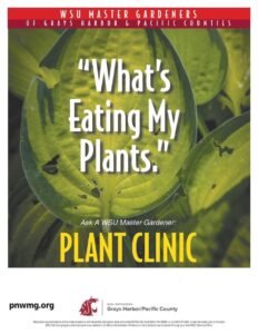 What's Eating My Plants? Plant Clinic poster with holey hosta plant leaves