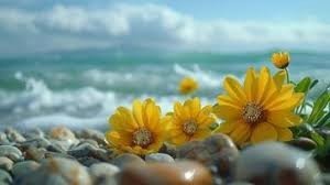 Coastal GH beach image