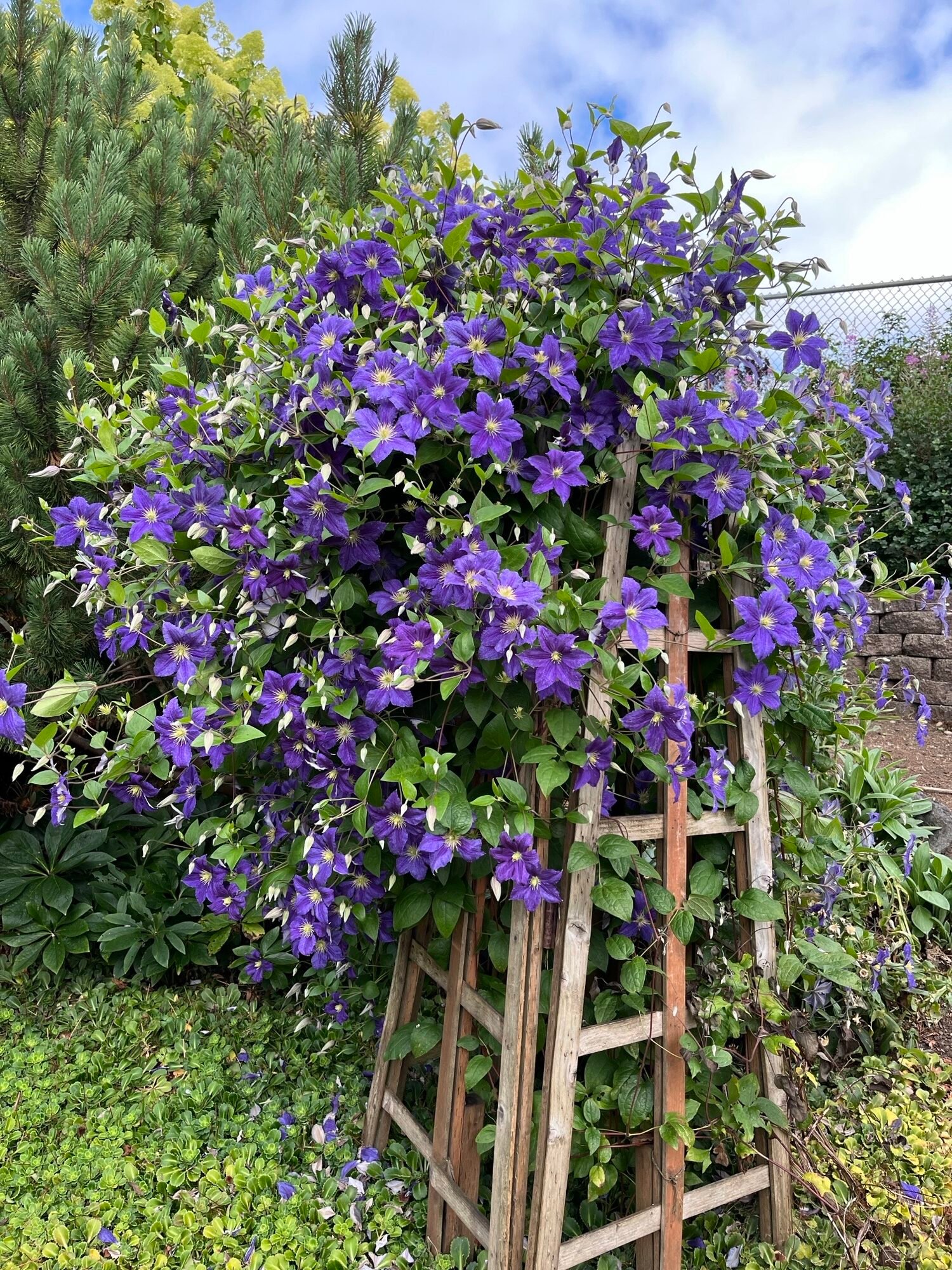 2025 Annual Garden Tour raise concrete block beds with kale and marigolds