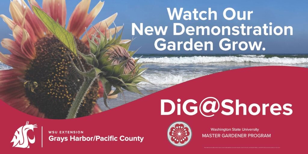 Watch our Demonstration Garden Grow - DiG@Shores