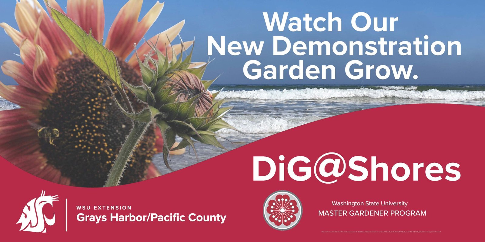 Watch our Demonstration Garden Grow - DiG@Shores